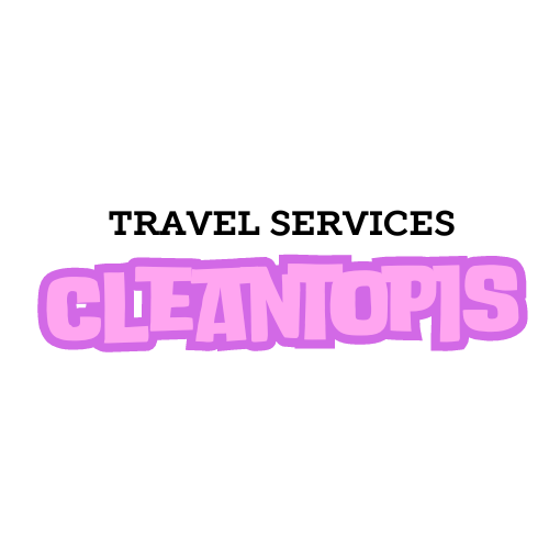 cleantopis.com